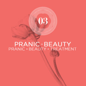 Pranic Beauty Face Treatment