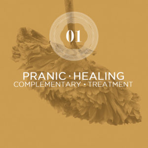 Pranic Healing Psychotherapy Treatment